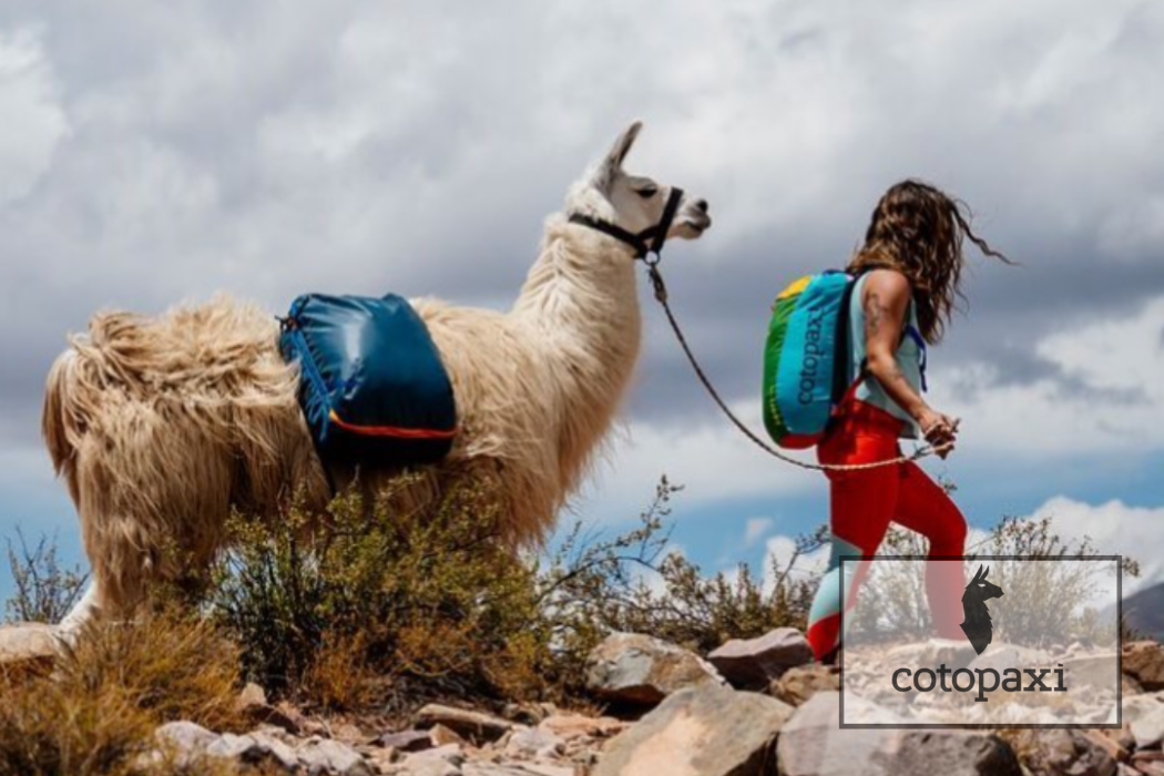 JEN WEBSITE - Cotopaxi LOGO (1050 x 700 px)